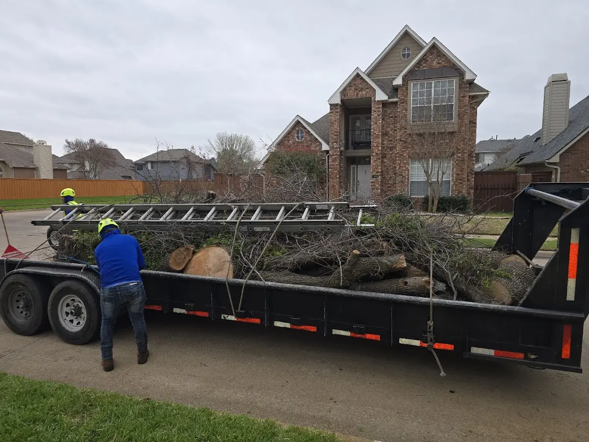 Expert Deadwooding with proper safety equipment in Eau Claire